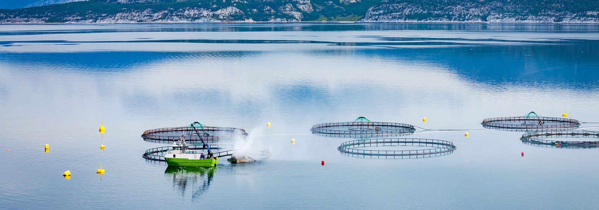 亚星娱乐养殖成本更低、更赚钱