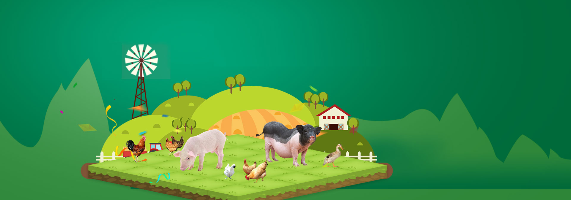 亚星娱乐养殖成本更低、更赚钱，做高性价比饲料领导者